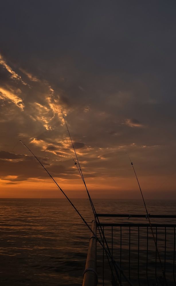 Фотография автора Ольга Артковская