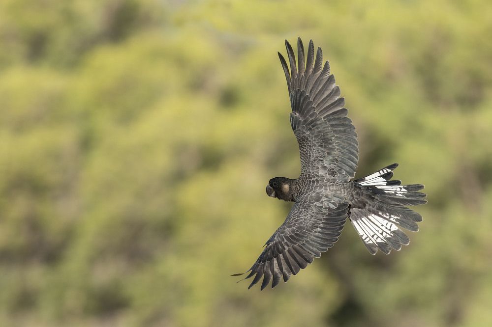 Photograph by Dennis Vagner