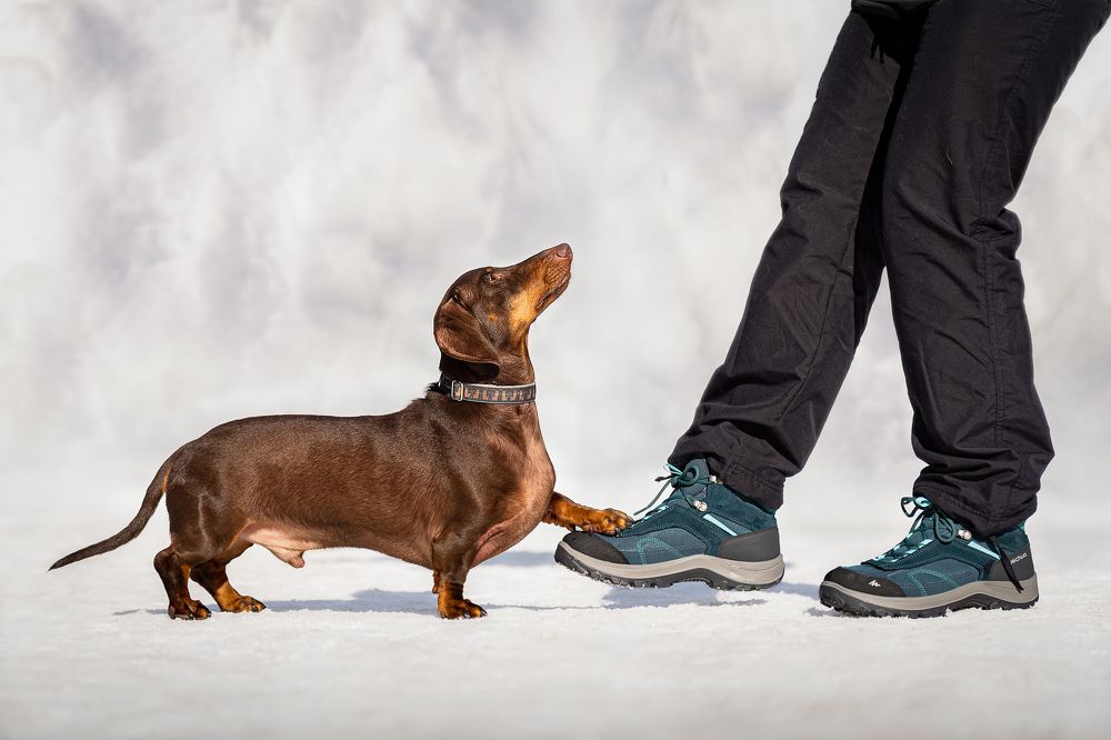 Фотография автора Krisztián Csalami