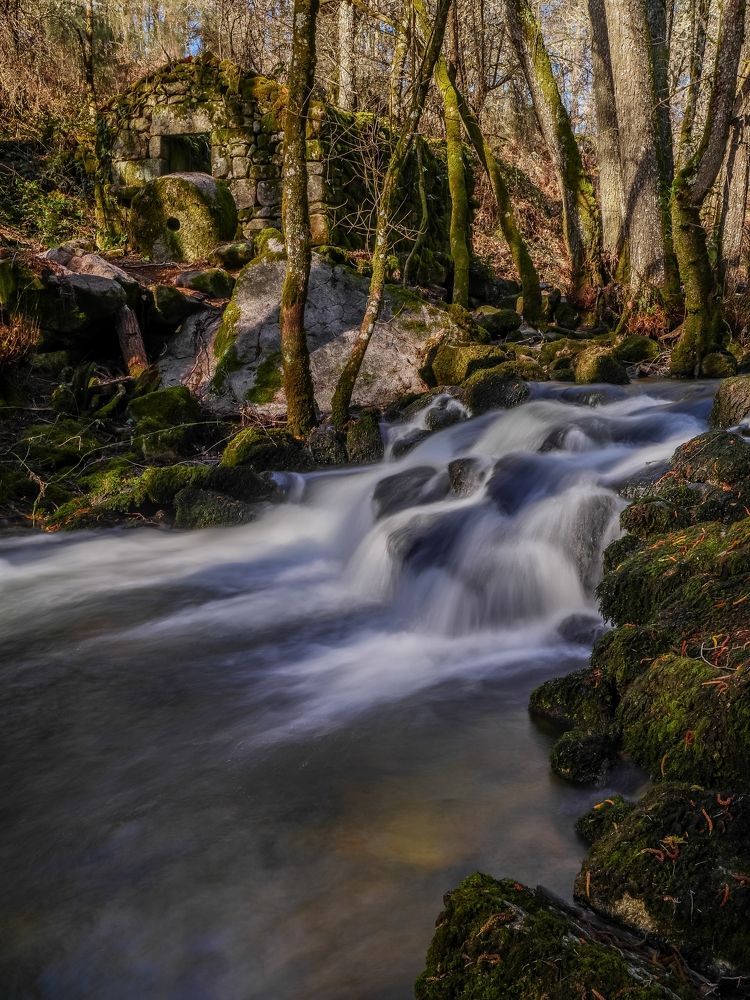 Photograph by Jose Antonio Novelle Cao