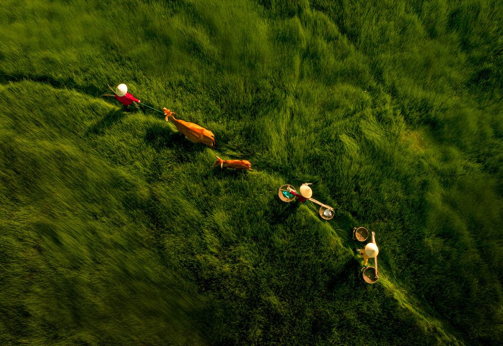 Photograph by Hanh P. T. Pham