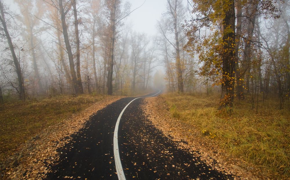 Photograph by Константин Искучеков