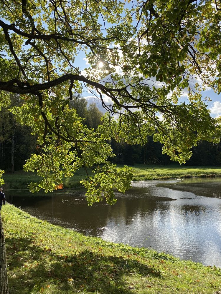 Photograph by Елена Шамраева