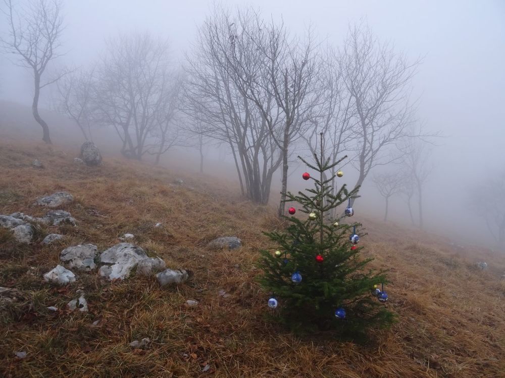 Photograph by Vera Vakhova