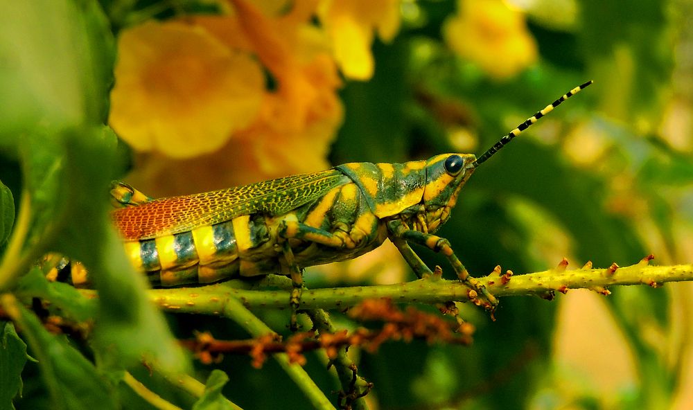 Photograph by Vikas Chauhan