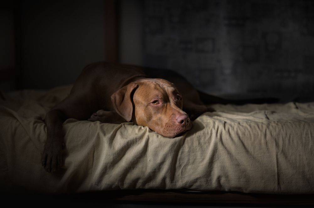 Photograph by Фабричный Роман