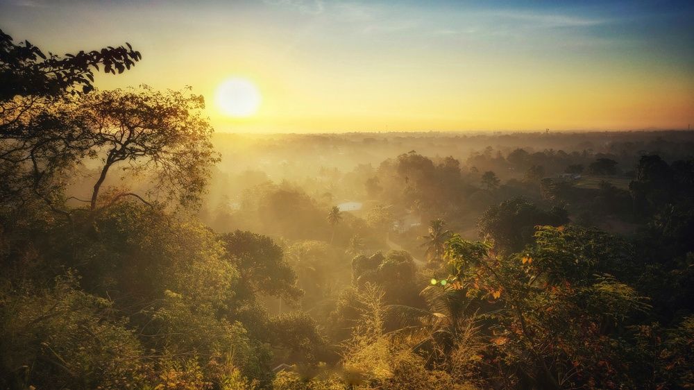 Photograph by Duminda Nadeeshan