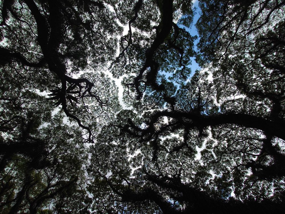 Photograph by Иван Нестеров