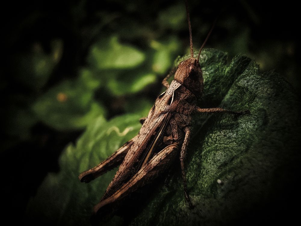 Photograph by Mariya Kolos