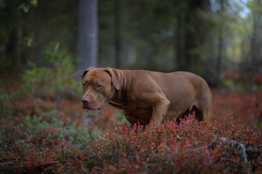 Photograph by Фабричный Роман