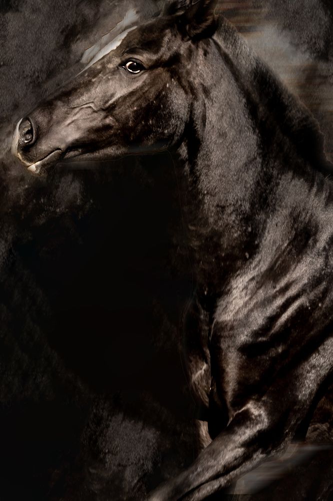 Photograph by fereydoon deliry