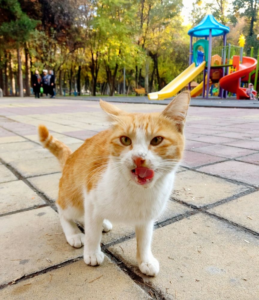 Photograph by Fatemeh