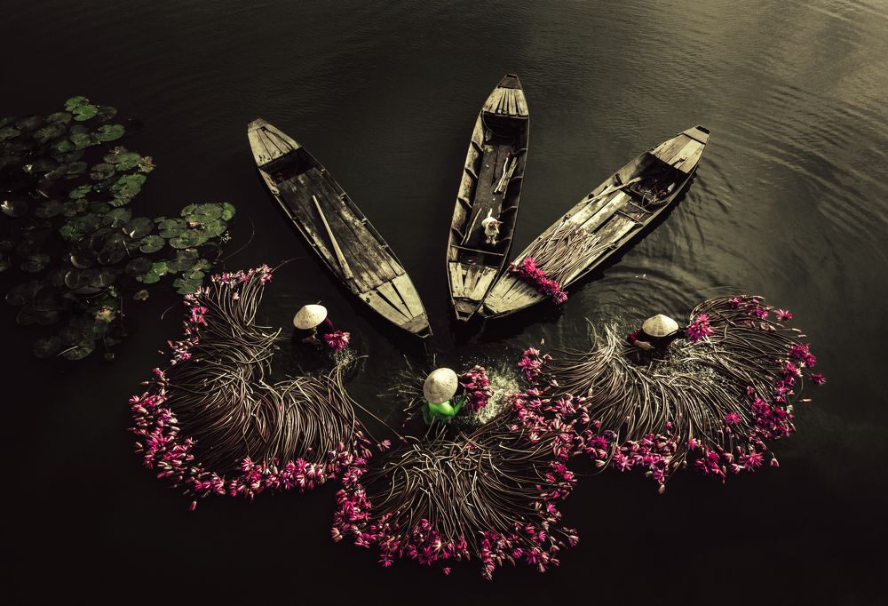 Photograph by Nguyễn Ngọc Tuấn