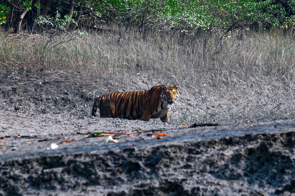 Фотография автора Sudip Ghosh