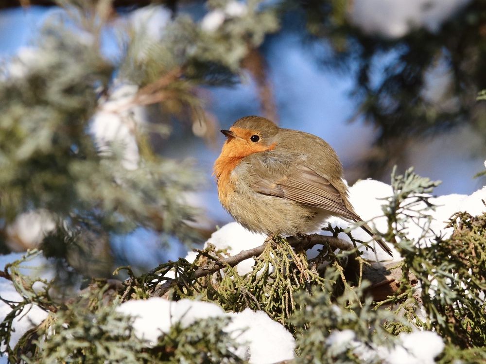 Photograph by Evgeny Nasyrov