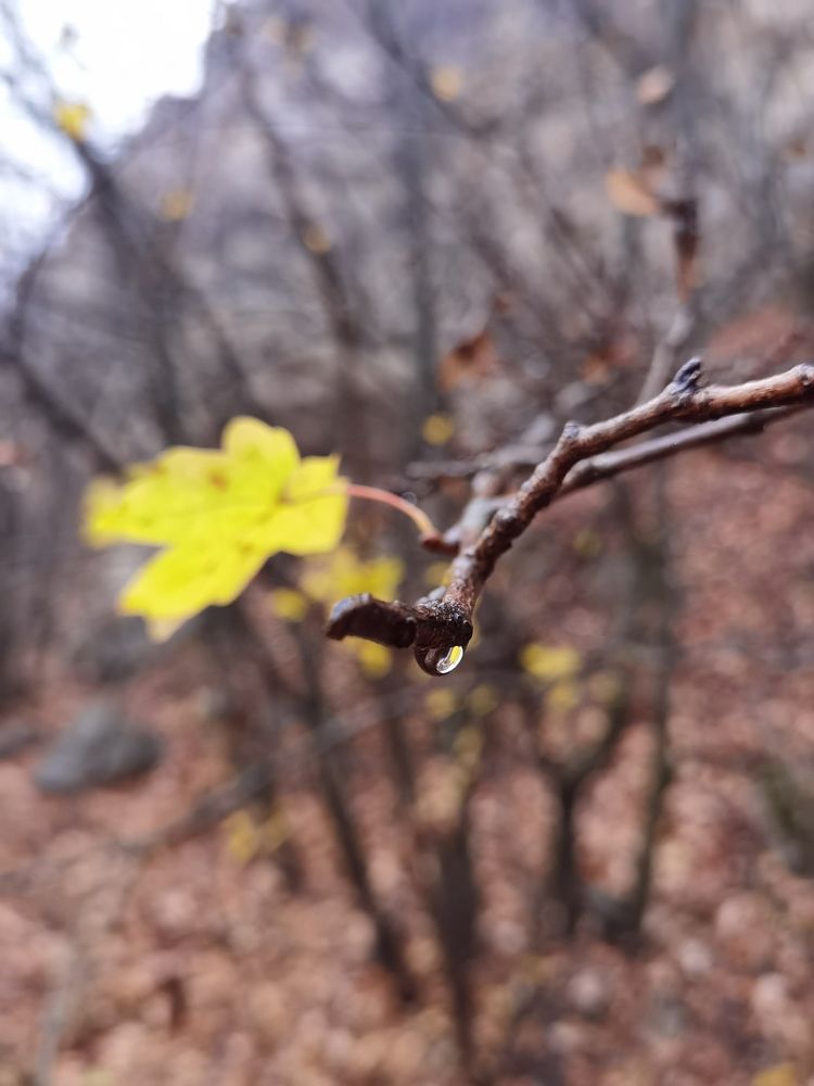 Photograph by Игорь