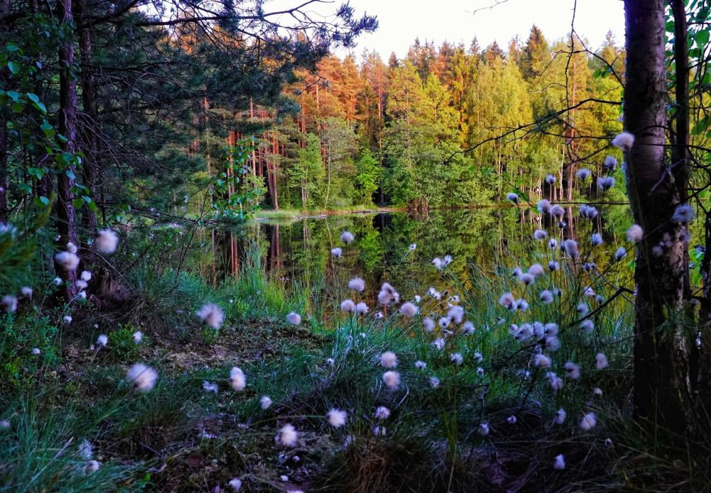 Photograph by Марина Безенкина