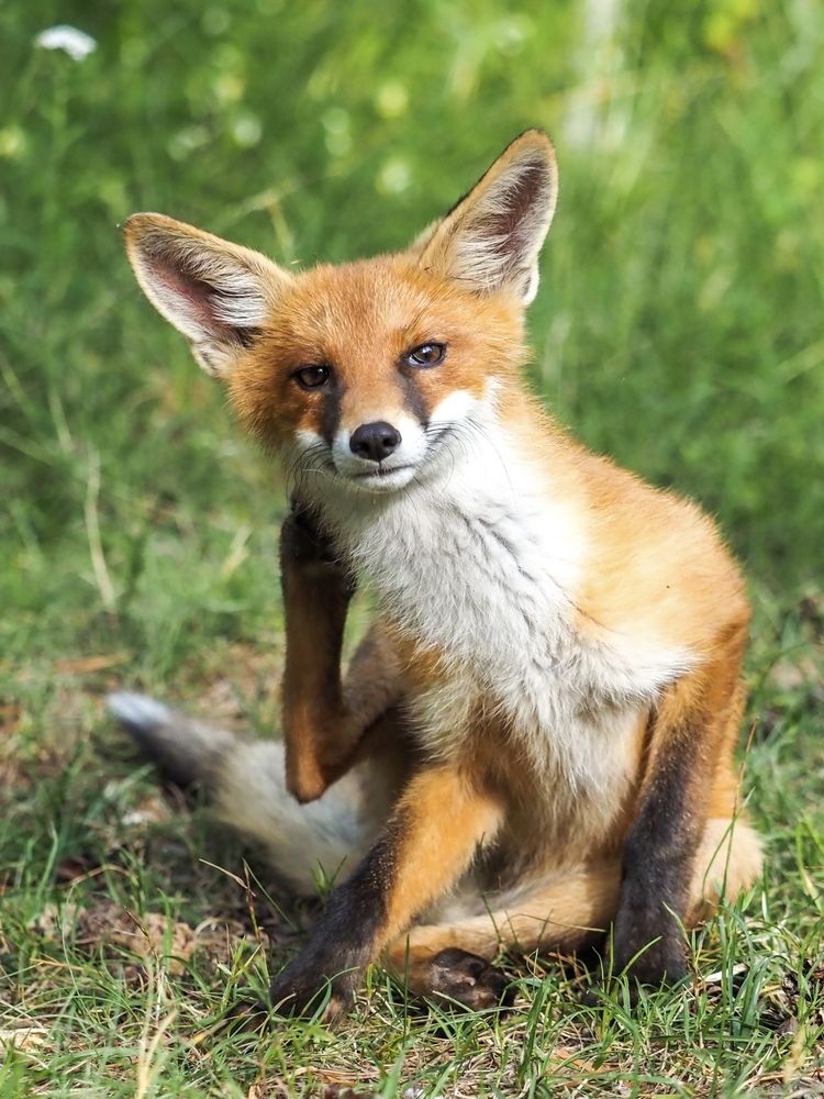 Фотография автора Mariya Belyalova