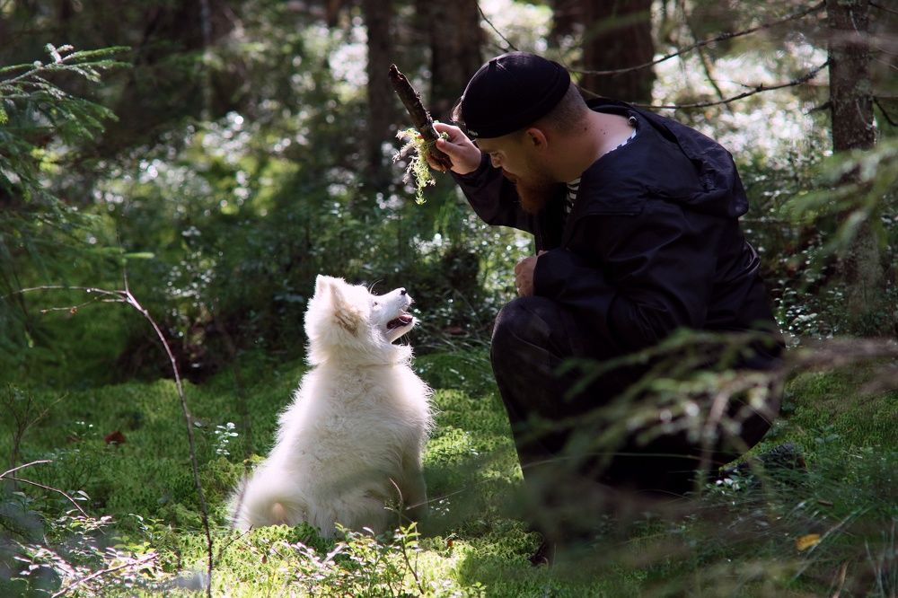 Photograph by Дарья Чистякова