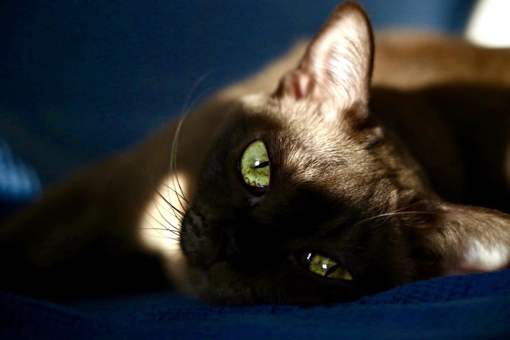 Photograph by Galina Belostotskaia