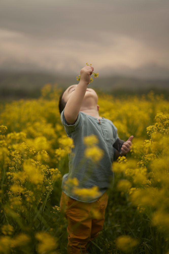 Аромат рапсовых полей