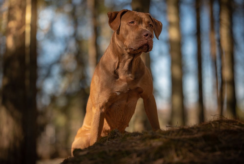 Photograph by Фабричный Роман