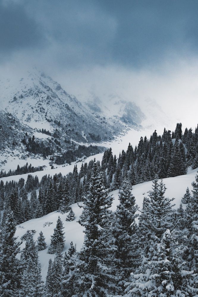 Photograph by Артем Фоменко