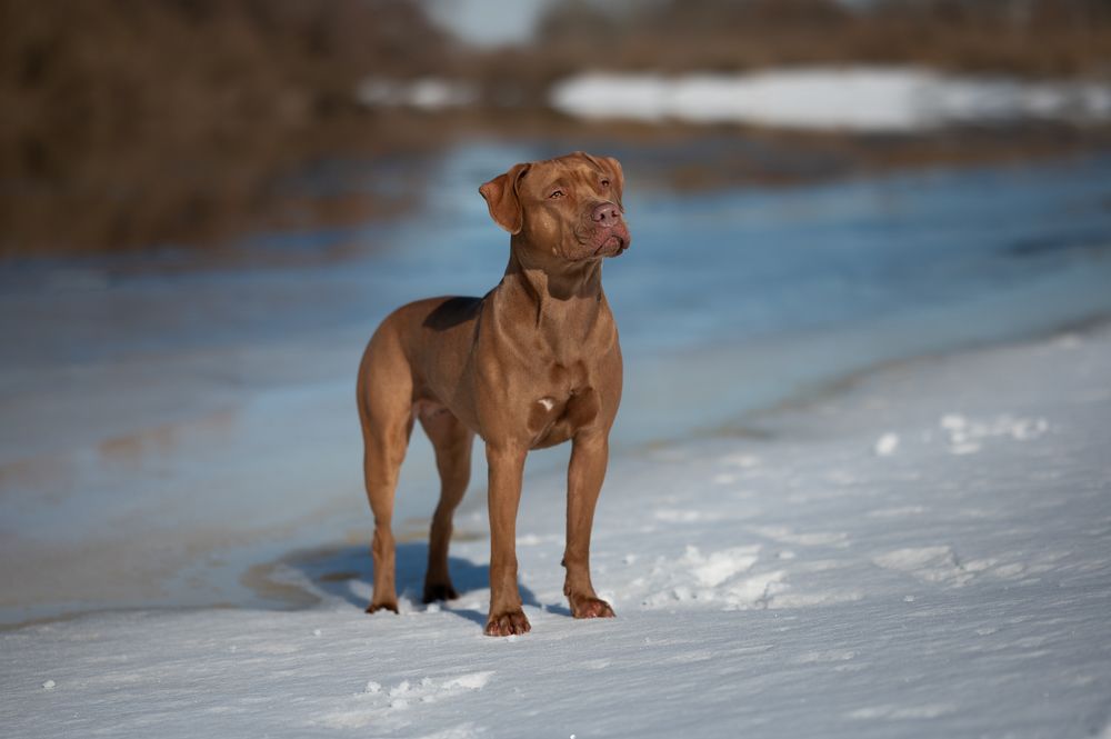 Photograph by Фабричный Роман