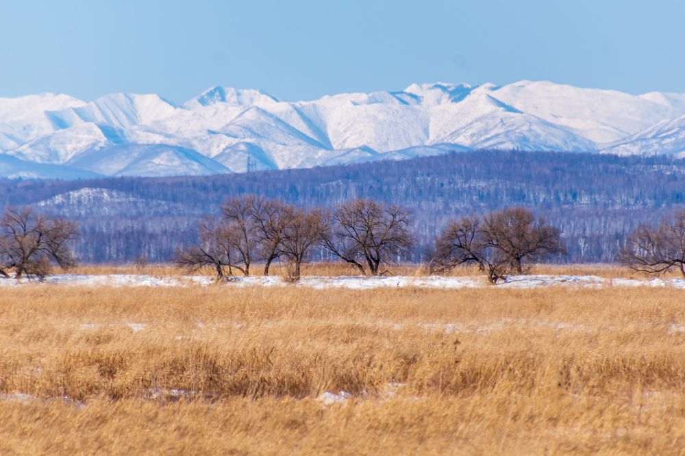 Photograph by Irina Luidinshina