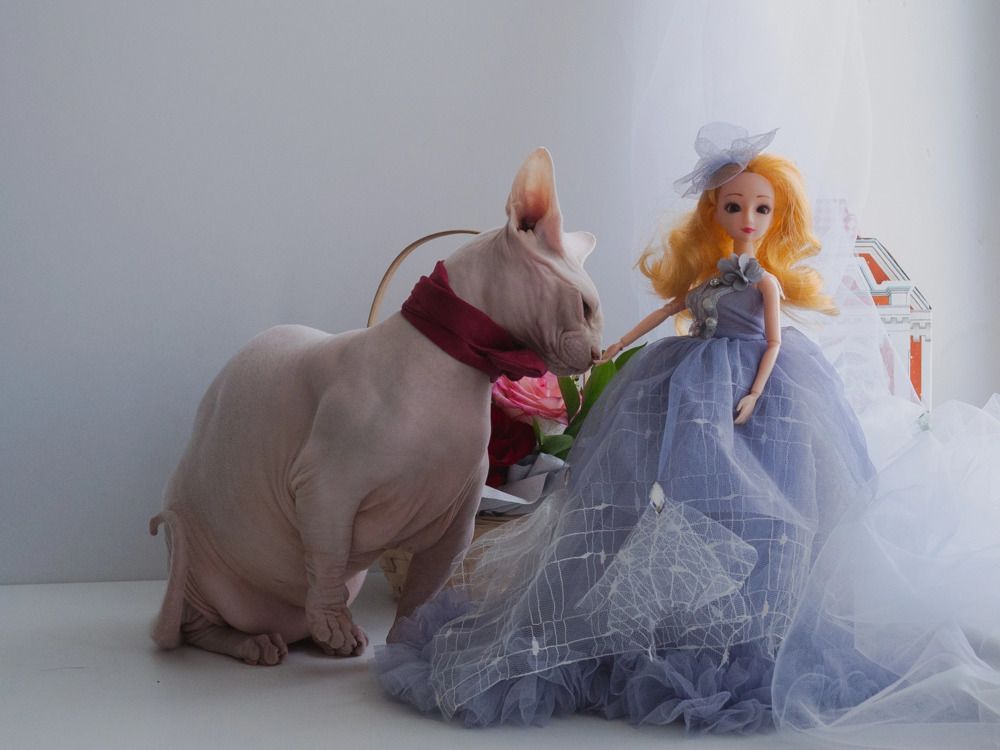 Photograph by Светлана Петренко