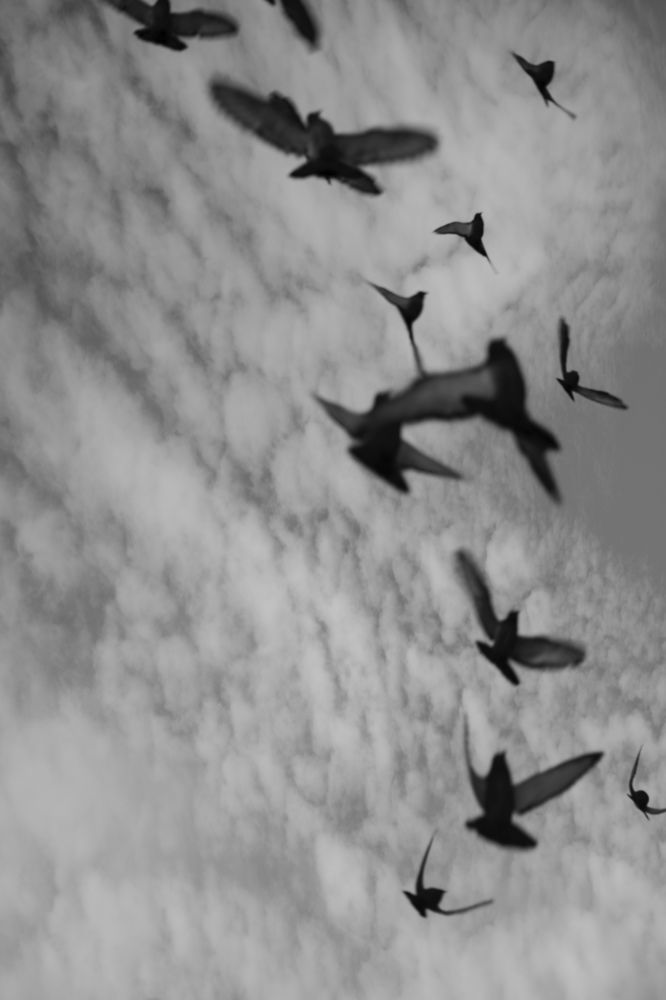 Фотография автора Sadaf Sadeghi