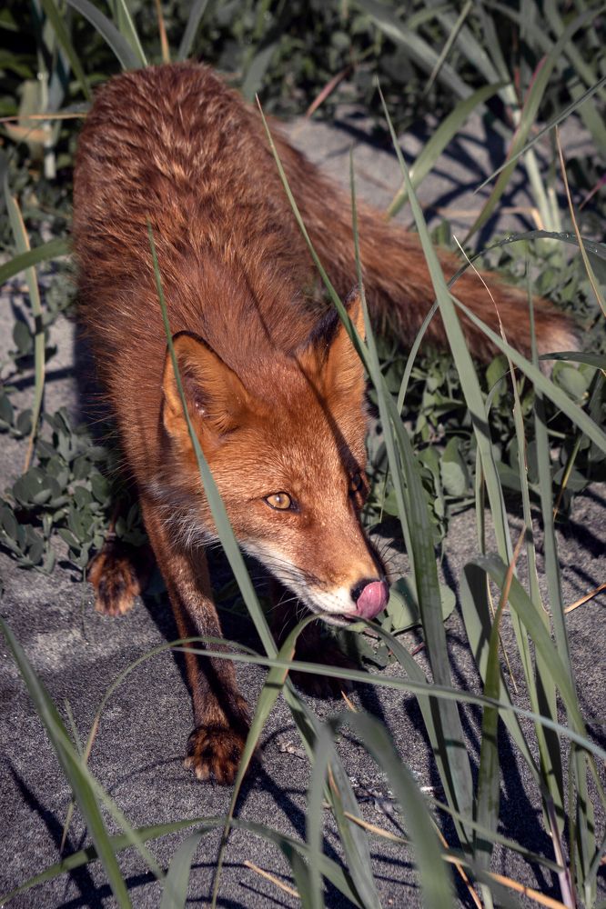 Photograph by Svetlana