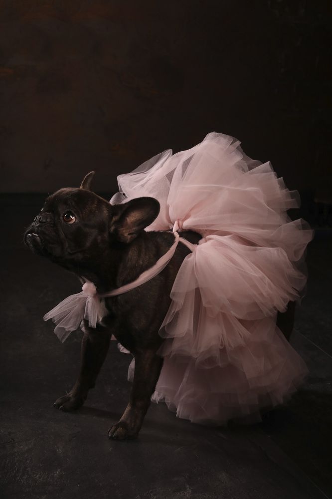 У тебя всё получится, иди к мечте…