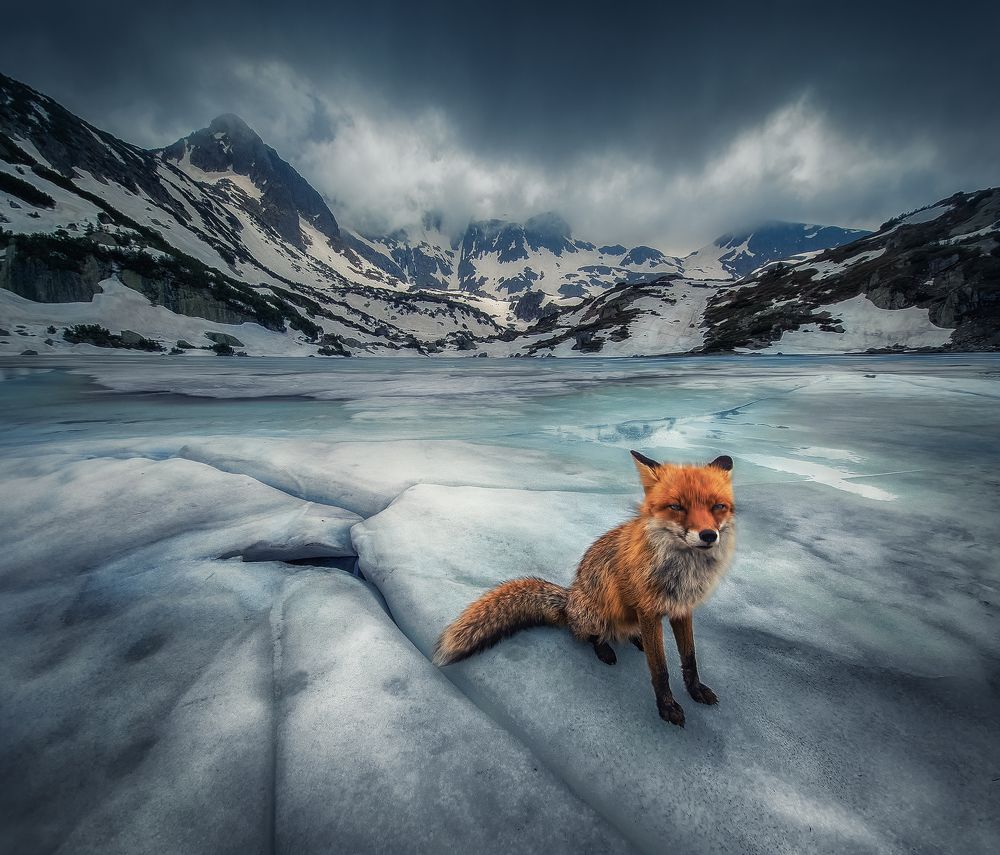 Photograph by Красимир Матаров