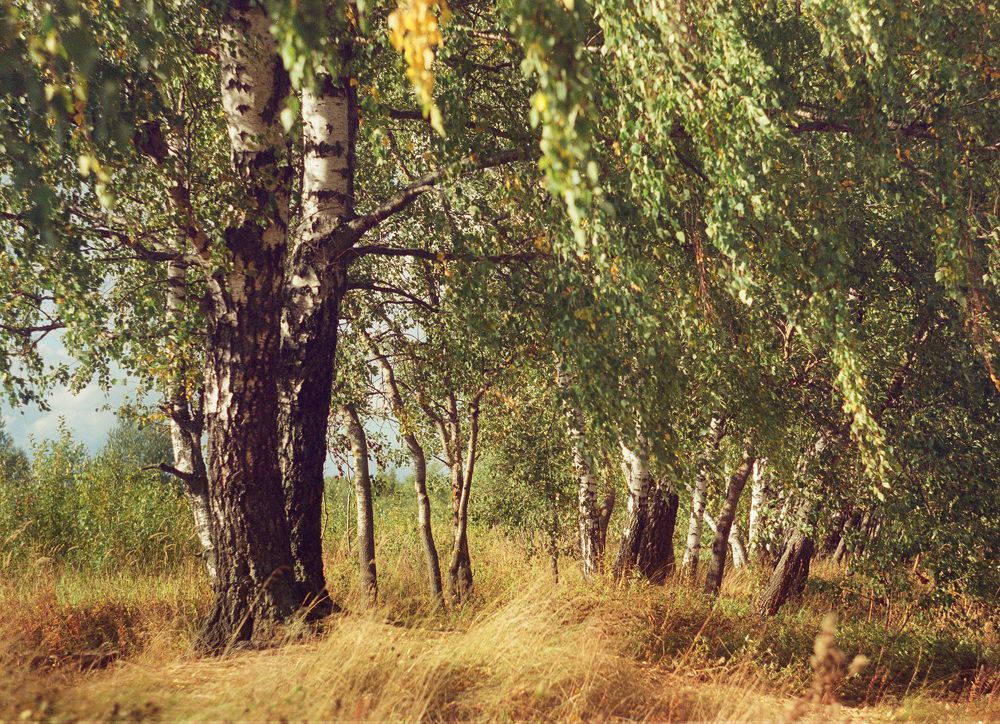 Photograph by Оксана Егорова