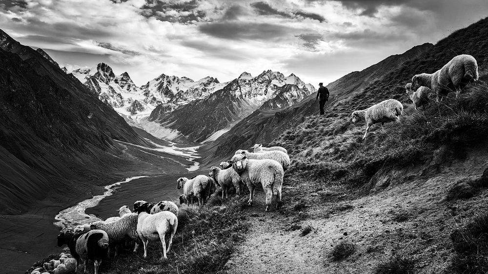 Photograph by Ахмат Байсиев