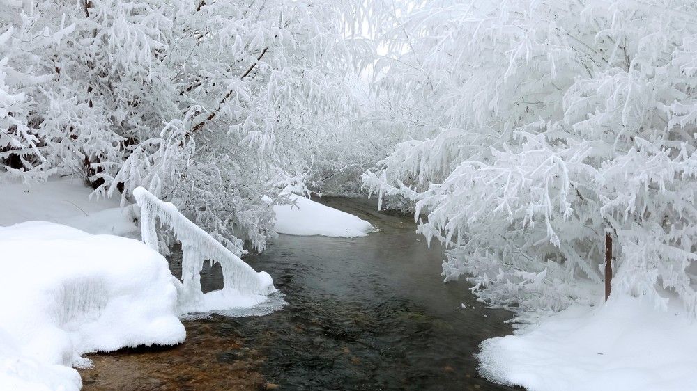 Photograph by Сергей Лугин