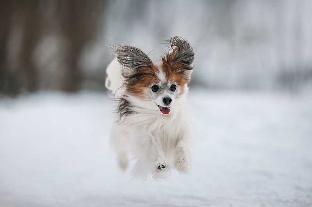 Photograph by Шитиков Владимир