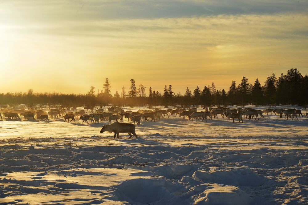 Photograph by Екатерина Григорьева