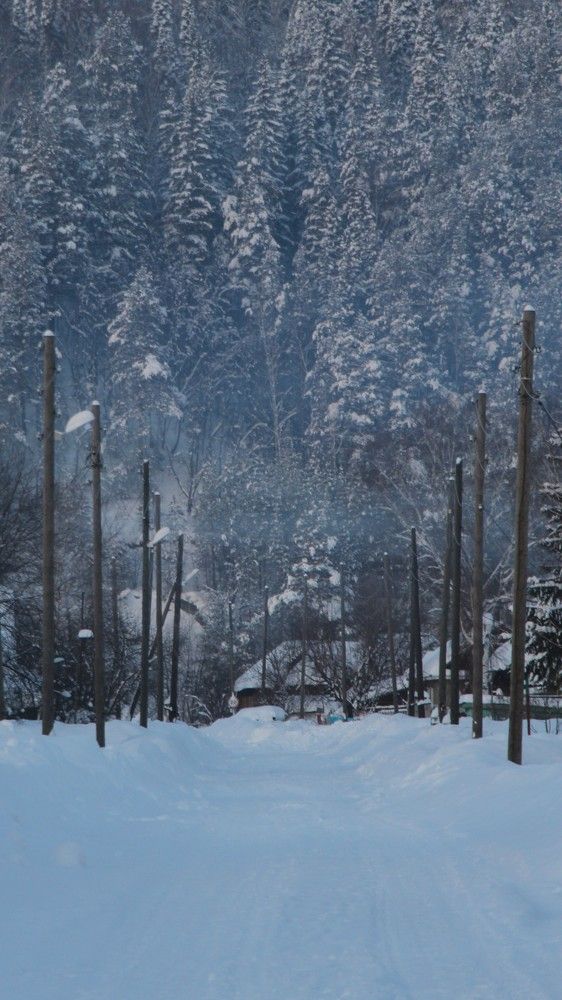 Photograph by Сергей Лугин