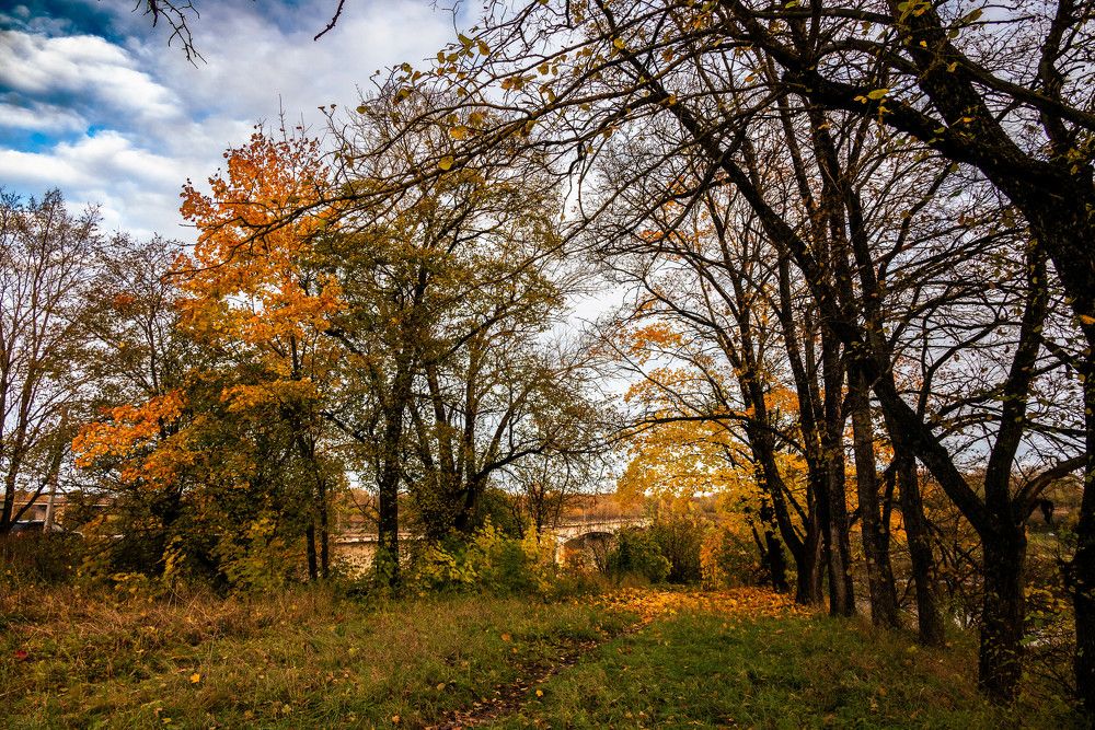 Photograph by Сергей Зимин