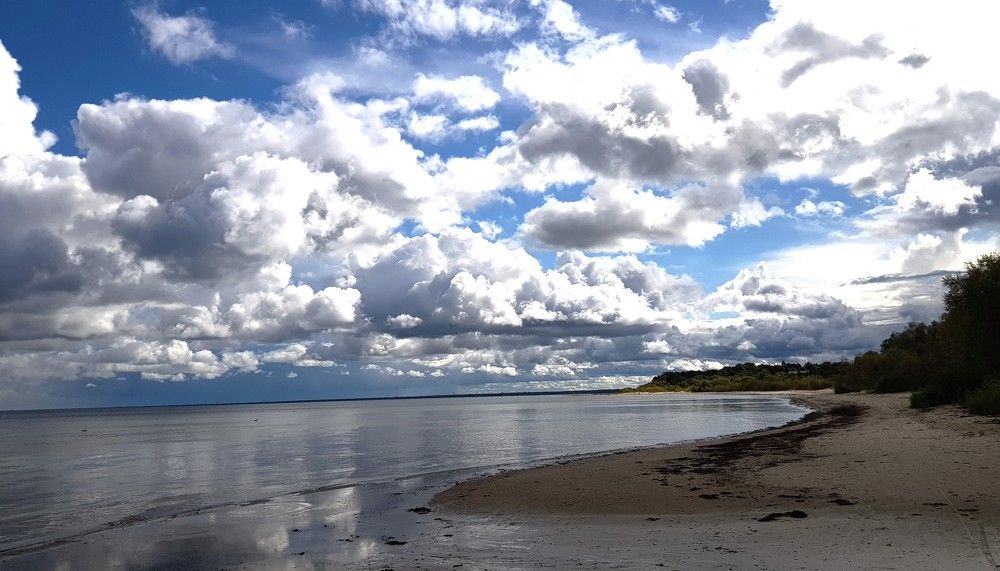 Photograph by Larisa Gella