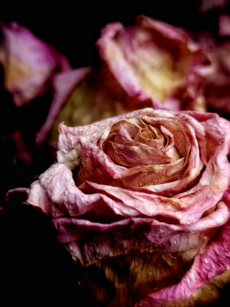 Photograph by Оксана Артимович