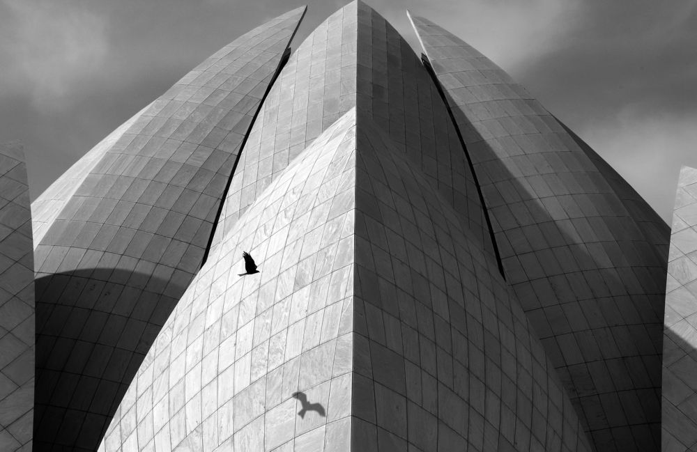 Фотография автора Mojtaba Chenari