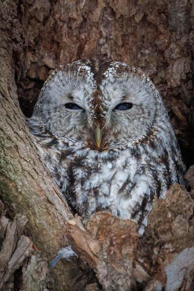 Photograph by Вячеслав Орос