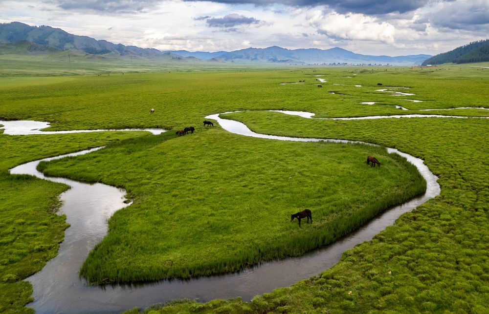 Фотография автора Totoro D