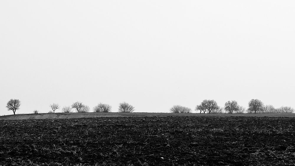 Photograph by Gamze TAŞ
