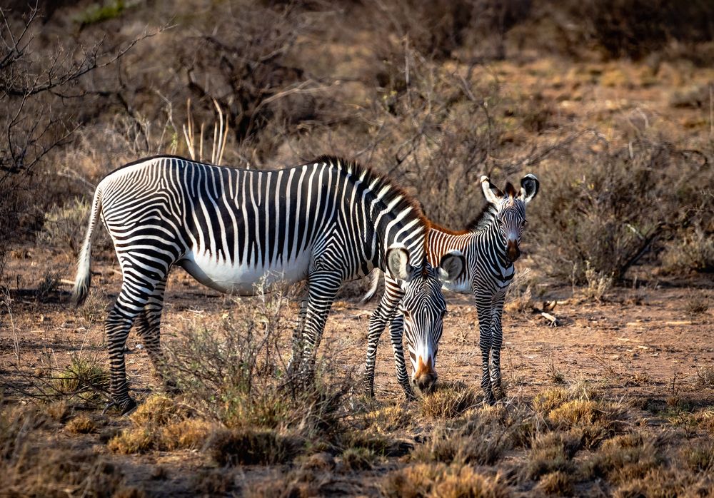 Photograph by Vita Potomova