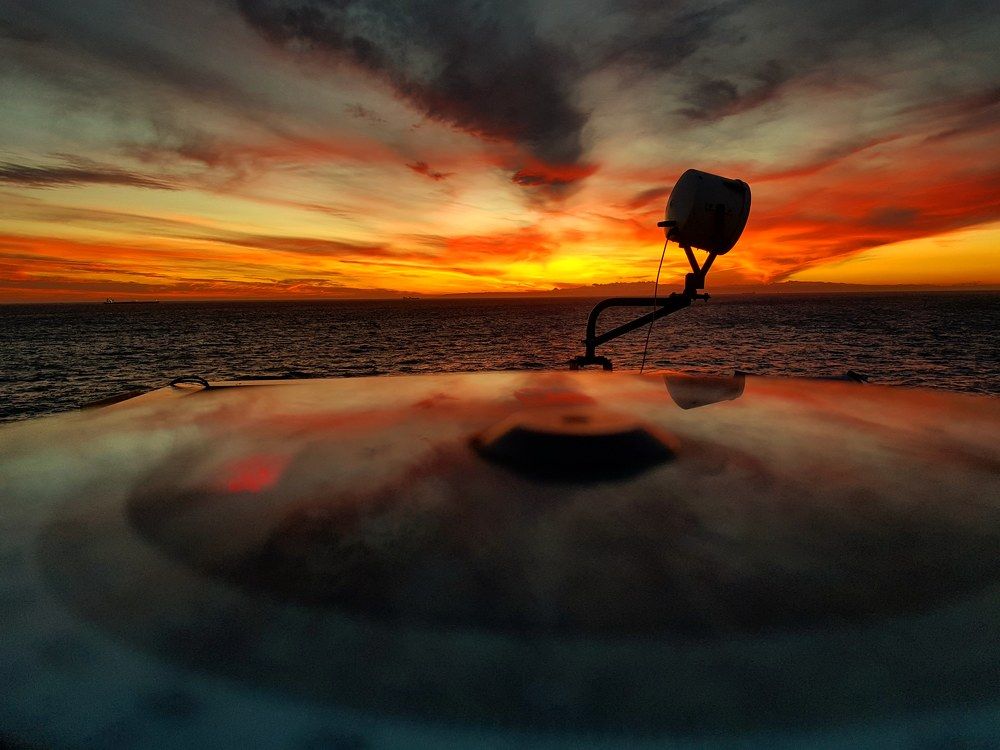 Photograph by Maksym Litvinenko