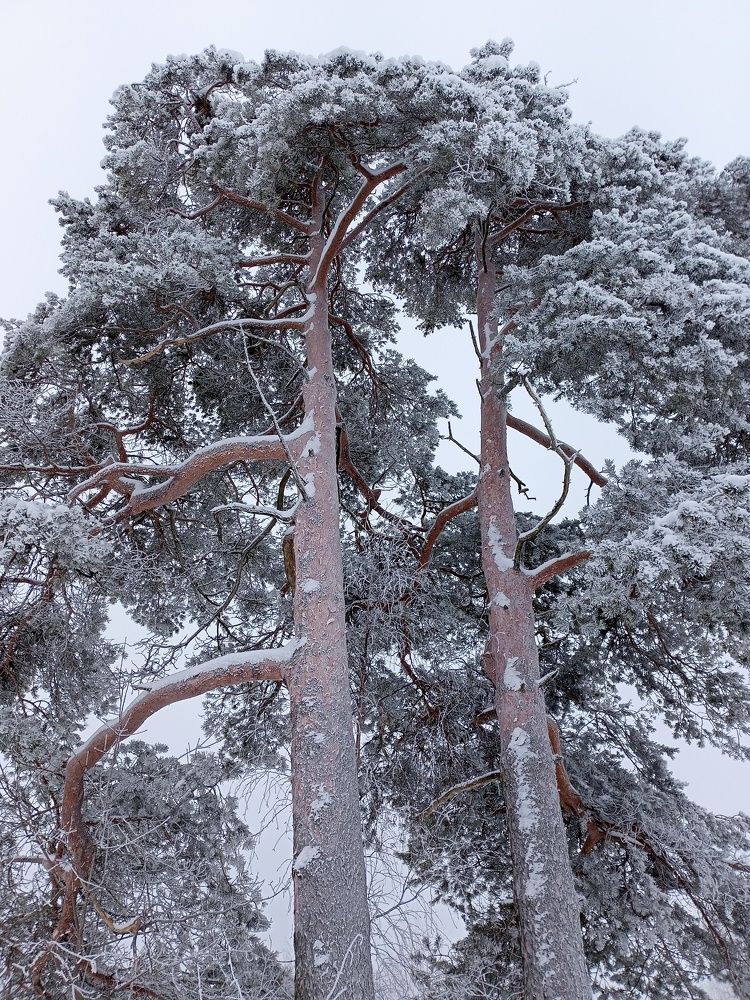 Photo #10395918
